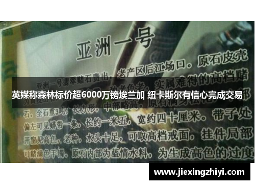 英媒称森林标价超6000万镑埃兰加 纽卡斯尔有信心完成交易